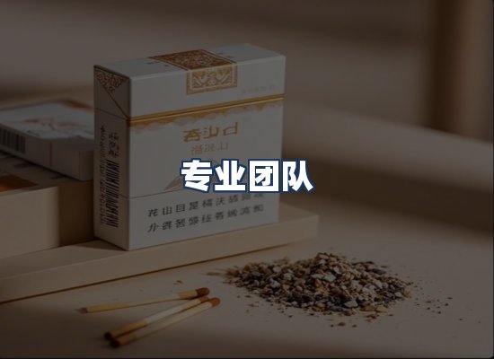 专业团队